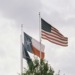 Texas Grants BlackRock Access to State Funds After ESG Retreat