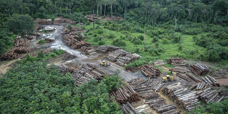 A new Reuter's investigation has revealed significant flaws in Brazil's carbon credit schemes.