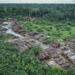 Brazil’s Carbon Credit Schemes Linked to Illegal Logging