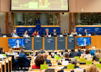 EU Introduces Voluntary ESG Reporting Standard for SMEs