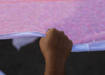 youth political participation