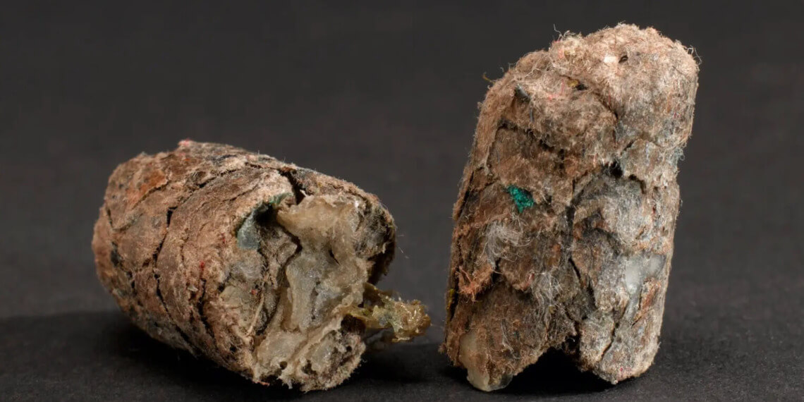 refuse-derived fuel