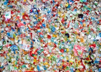Malaysia Shuts the Door on U.S. Plastic Waste