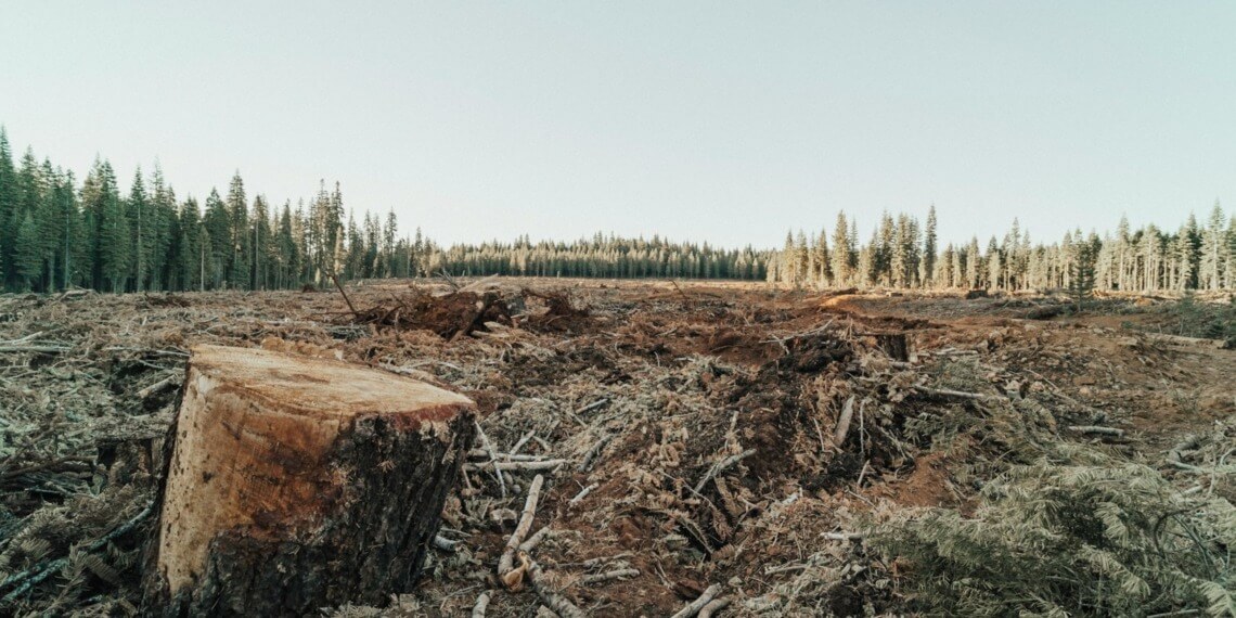 ESG news regarding EU deforestation laws, the green funding gap in the EU, UK’s finance minister announces National Wealth Fund investment in carbon capture, BRICS demand that wealthy nations fund the transition to a greener global climate