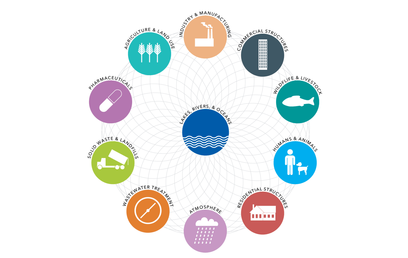 forever chemicals impact on ecosystems