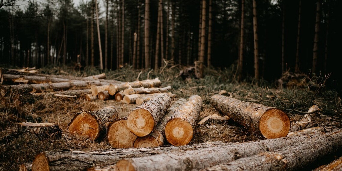Aerial of degraded rainforest; headline notes 63% off 2030 forest target.Instagram announces PG-13–style default for under-18 accounts with stricter content filters.Boeing wins EU approval to buy Spirit after Airbus-related divestments.Greenpeace threatens lawsuit over Crown Estate’s seabed leasing for offshore wind projects.