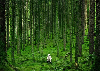 World Restoration Flagships