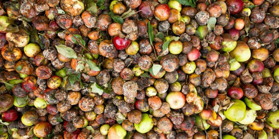 food waste
