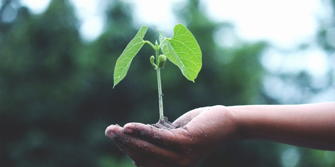 Sustainable Service