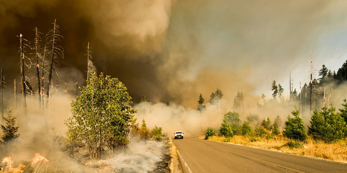 ESG News regarding using AI to prevent wildfires, Ferrari’s deal with Shell, plastic waste job creation in UK, and China’s 30% increase in solar power use