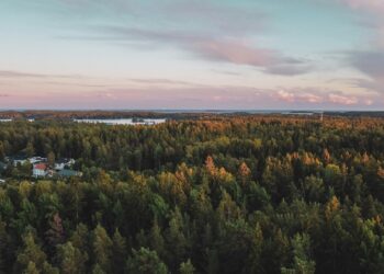 ESG news regarding EU weakening 2040 target based on lack of forest carbon absorption, EIB grants Iberdrola €500 million for offshore wind project, Trump administration excluded the Atlantic from drilling, and ExxonMobil threatens to leave EU amid new climate law