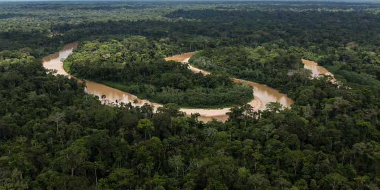The Amazon rainforest is often called “the lungs of the world.” It produces oxygen and stores billions of tons of carbon every year. The Amazon rainforest covers more than 60% of the landmass of Peru. Photo Credit: USDA Forest Service / Diego Perez.