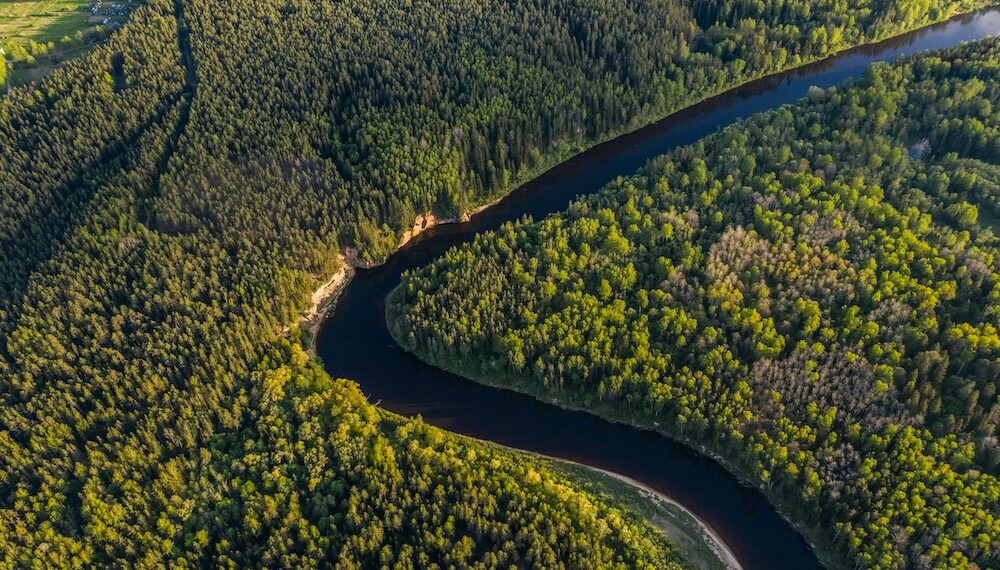 Google signs biggest carbon offset deal with Brazilian startup as big tech continues to rely on carbon offsets to meet climate targets.