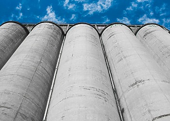 One Health: Silo Barriers to Implementation and How to Overcome Them