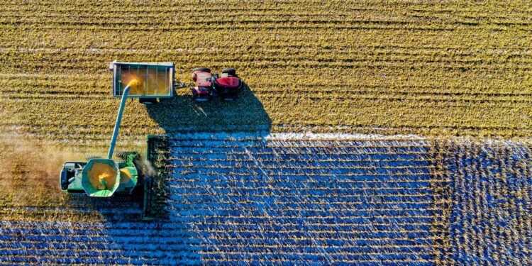 climate change and food
