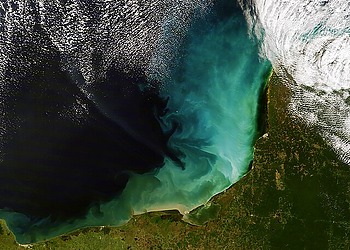 Discovery of a carbon sponge under the ocean; HSBC survey shines positive acceptance of climate transition; New catalyst for clean hydrogen production; Google signs deal with Ebb for carbon removal.