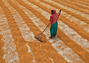 women and extreme heat