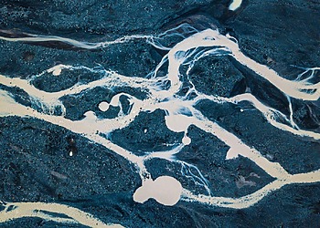 Impakter’s Most-Read Stories of 2025