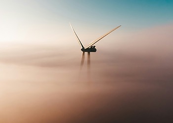 What’s Next for Sustainable Development in 2026