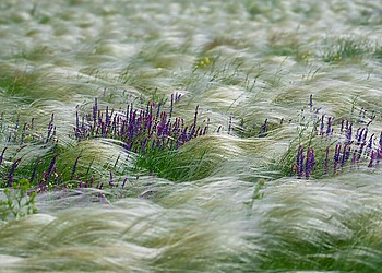 ESG News regarding Equinor wind farm project to resume in US, Blue Earth Capital raises $100 million, Google Signs Major 1.2 GW Carbon-Free Energy Deal, and US to Finalize 2026 Biofuel Quotas by March