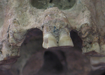 How Migration Made the Human World