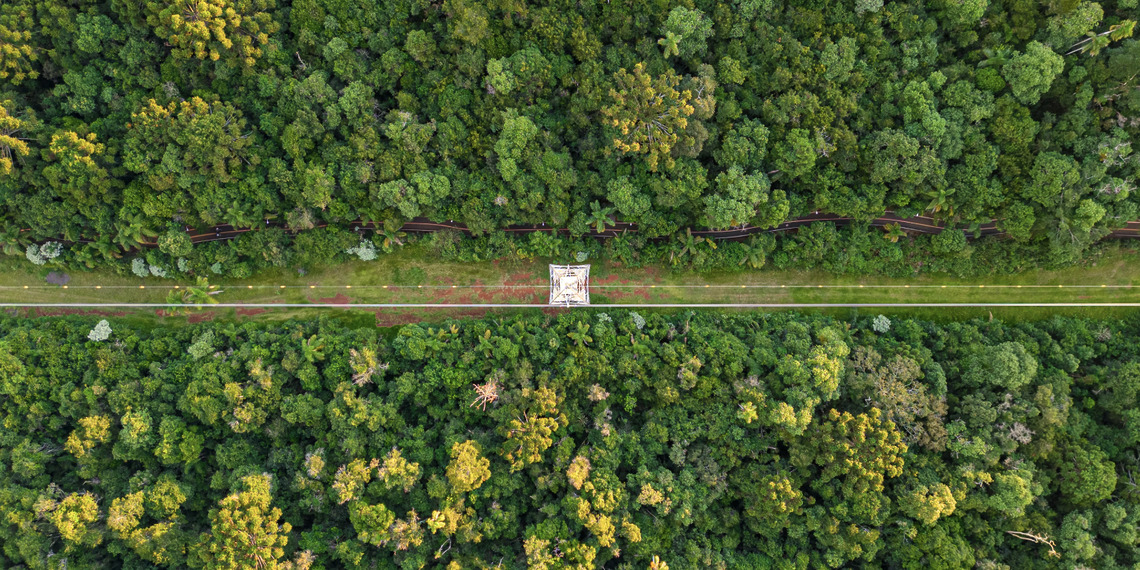 ESG News regarding Brazil’s battery boom, Europe and UK sign clean energy security Hamburg Declaration, California suing Trump administration, and 200MW plant opening in Burkina Faso