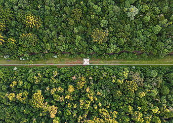 ESG News regarding Brazil’s battery boom, Europe and UK sign clean energy security Hamburg Declaration, California suing Trump administration, and 200MW plant opening in Burkina Faso