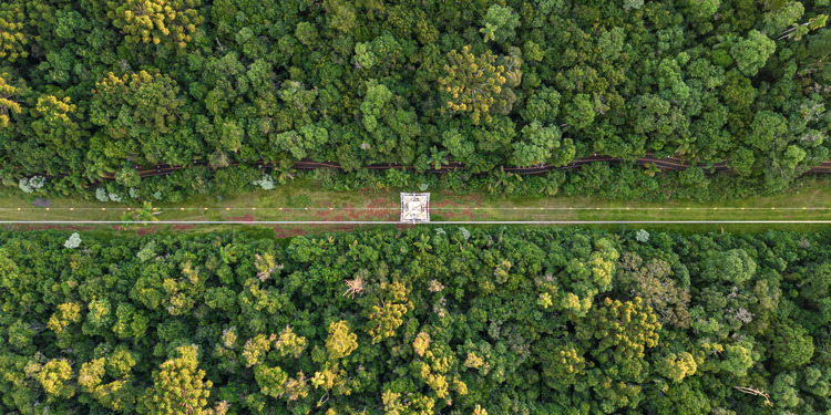 ESG News regarding Brazil’s battery boom, Europe and UK sign clean energy security Hamburg Declaration, California suing Trump administration, and 200MW plant opening in Burkina Faso