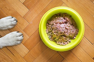 News regarding the environmental impact of dog food