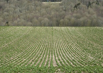 Aerial view of U.S. farmland using regenerative agriculture practices to generate soil carbon credits