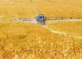 Why Glyphosate, the World’s Most Widely Used and Sued Herbicide, Is Under New Scrutiny