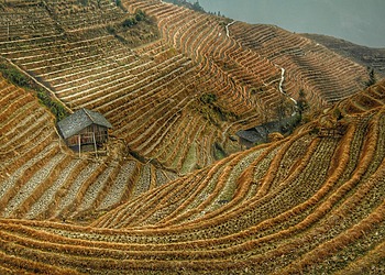 Why WTO Rules on Domestic Support Matter for Least Developed Countries