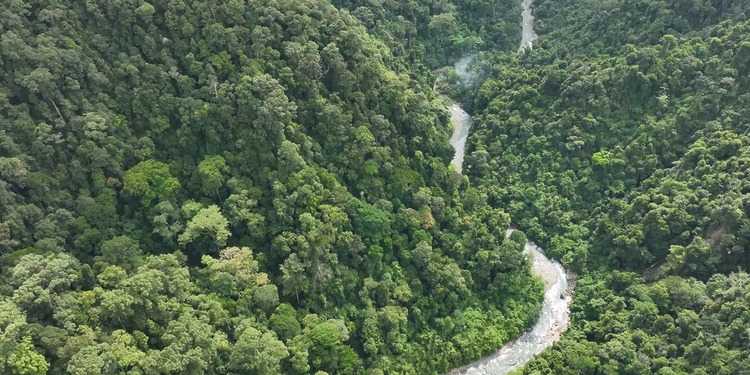 Climate Change Charities