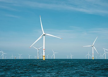 Orsted challenges U.S. suspension of offshore wind projects; global mandatory ESG reporting accelerates; ESG ratings for Saudi firm Maharah; EU legal certainty on sustainability reporting.