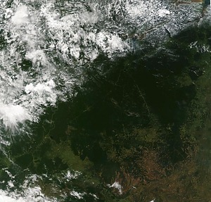 Agrotools builds the world's biggest environmental services payment platform