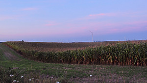 Inpasa ramps up exports of dried distillers' grains to China