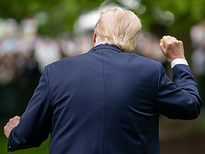 ESG News regarding Trump’s move to dismantle vehicle regulation; ESB acting against unsustainable banks; Solar and wind energy becoming expensive; Strikes in Kenya