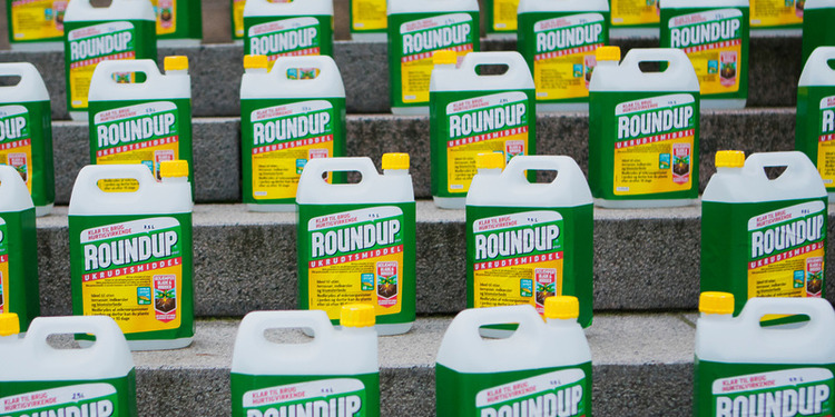 On the day that EU countries voted on the future of glyphosate herbicides, Danish parliamentarians displayed 222 litres of Roundup in containers to illustrate the volume of herbicide consumption on Danish fields, Nov. 8, 2016. Photo Credit: ©Brian Berg/Greenpeace.