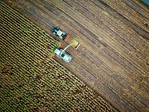 ESG News regarding Trump criticizing Newsom over UK green energy agreement, new analysis questioning the climate benefits of AI, EU greenlighting €1.04 billion Danish programme to reduce farm emissions and restore wetlands, and Santos winning court case over alleged misleading net-zero claims.