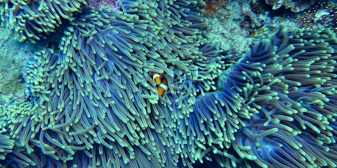 biodiversity loss