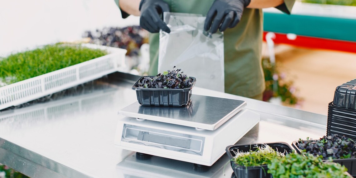 A B2B Ingredients Supplier handling microgreens.