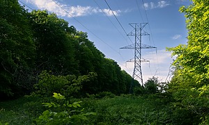 ESG news regarding EU carbon prices falling as the bloc considers intervening in its emissions trading system to ease energy costs, Asian utilities increasing coal use as LNG supply disruptions from the Iran conflict drive prices higher, Canada projecting sharp growth in electricity demand and natural gas production by 2050, and pollution from a Russian strike on a Ukrainian hydro plant cutting water supplies in Moldova.