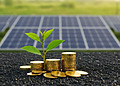 Money, a lille green plant and solar panel in the background. Portfolio diversification with sustainable investments.