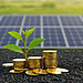 Money, a lille green plant and solar panel in the background. Portfolio diversification with sustainable investments.