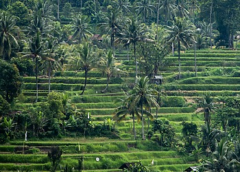 ESG news regarding Indonesia considering revival of its B50 biodiesel plan as oil prices rise, Singapore facing higher petrol and electricity prices amid global oil supply disruptions, the European Union exploring measures to ease industrial energy costs, and Indian cement firms facing an antitrust investigation over alleged bid rigging.