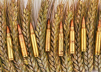 bullets and grain