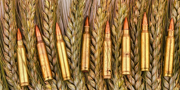 bullets and grain