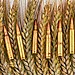 bullets and grain
