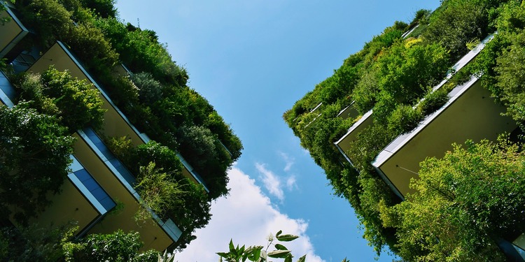 ESG news regarding SBTi’s Trend Tracker report, windfall tax in EU, new energy transparency rules in the EU, and India’s steel emission reductions