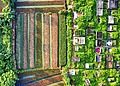 Aerial View of Cropland in Indonesia